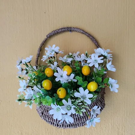 Manuela וילסימיוס